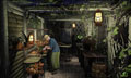  .     / Nancy Drew: Legend of the Crystal Skull