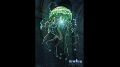 Doctor Who: The Adventure Games. The Gunpowder Plot