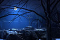 Dracula: Resurrection - Part 1
