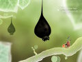 Botanicula