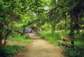Lost & Alone