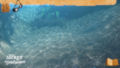 Secret Of Crystal Waters, The / The Secret Of Crystal Waters