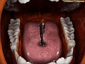    / Legend of Crystal Valley, The
