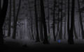 Silent Sky, The / The Silent Sky