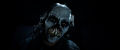    (2024) / Until Dawn (2024)