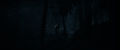   (2024) / Until Dawn (2024)