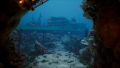 Thalassa: Edge of the Abyss