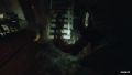 Occultist, The / The Occultist