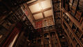 Pathologic 3 /  3