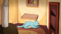 Adventures of a Cat in Space