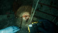 Still Wakes the Deep: Sirens Rest