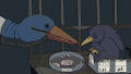 Not a Crow