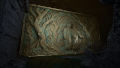 Alighieri Circle, The: Dante`s Bloodline / The Alighieri Circle: Dante`s Bloodline