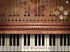 Mozart / Моцарт