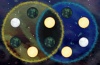 Puzzle Agent 2