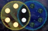 Puzzle Agent 2